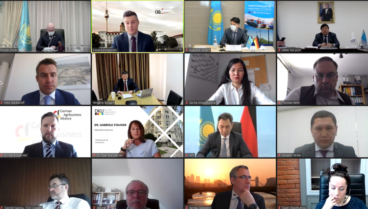 Online-Gespräch mit Vize-Premier Sklyar; Foto: OA/E.Kinsbruner