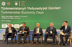 Podiumsdiskussion Ausbau der Handelsbeziehungen zwischen Turkmenistan und Deutschland: Erfolge und Chancen. Foto: V. Nikitenko